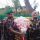 স্বাধীনতা দিবসে বিজিবি-বিএসএফ শূন্য রেখায় যৌথ প্যারেড ফুল-মিষ্টি বিনিময়